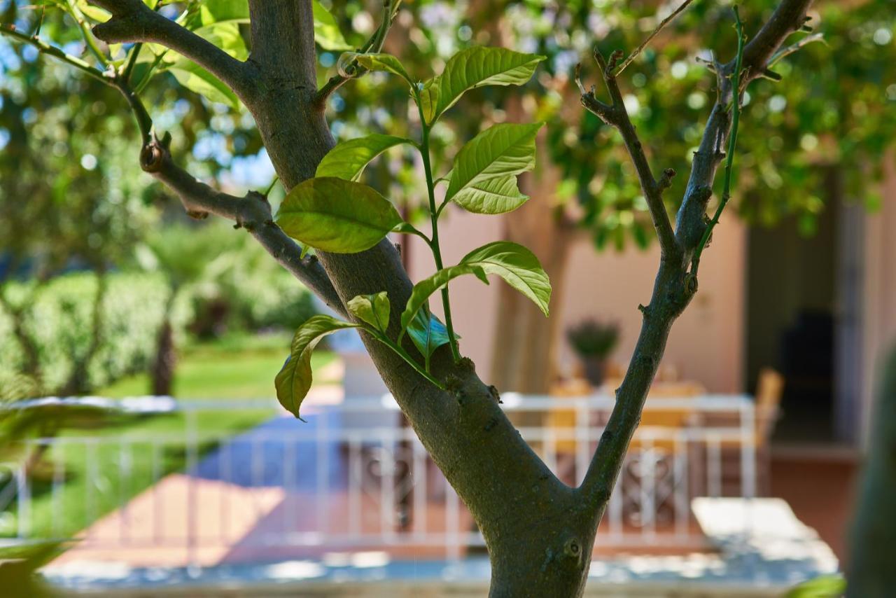 Villa Moma Palio Gerani Εξωτερικό φωτογραφία